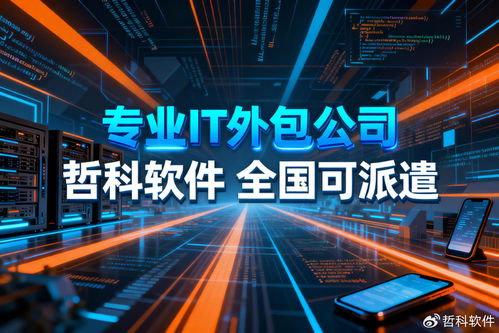 2025年中国IT外包公司排行榜TOP4出炉 省下30%成本，附选型指南