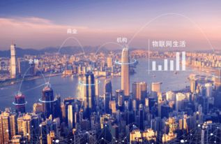 高标准交付，无忧软件开发——为您精准匹配优质外包服务商